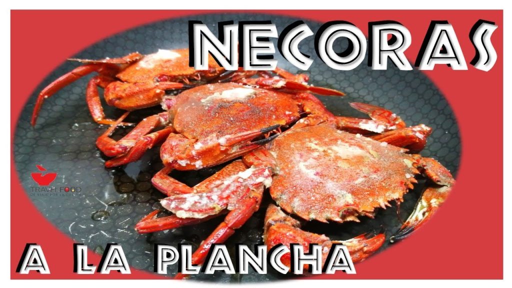 Receta de Andaricas a la Plancha (Nécoras)